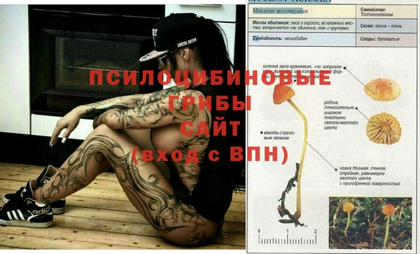 тгк Алексин