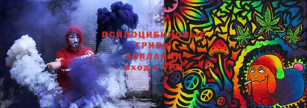 тгк Алексин