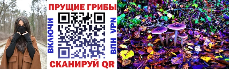 Галлюциногенные грибы Magic Shrooms Тула