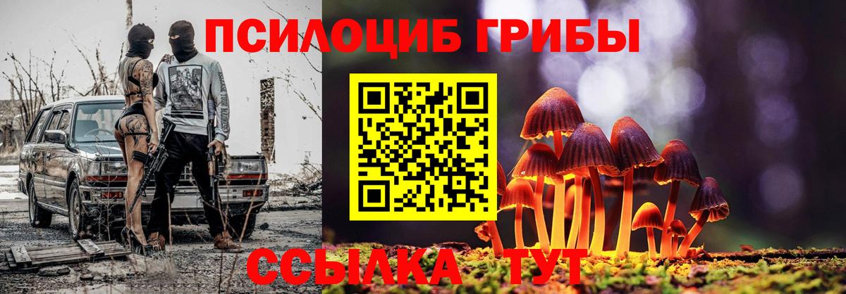 Тула  Псилоцибиновые грибы MAGIC MUSHROOMS  Вход с VPN 